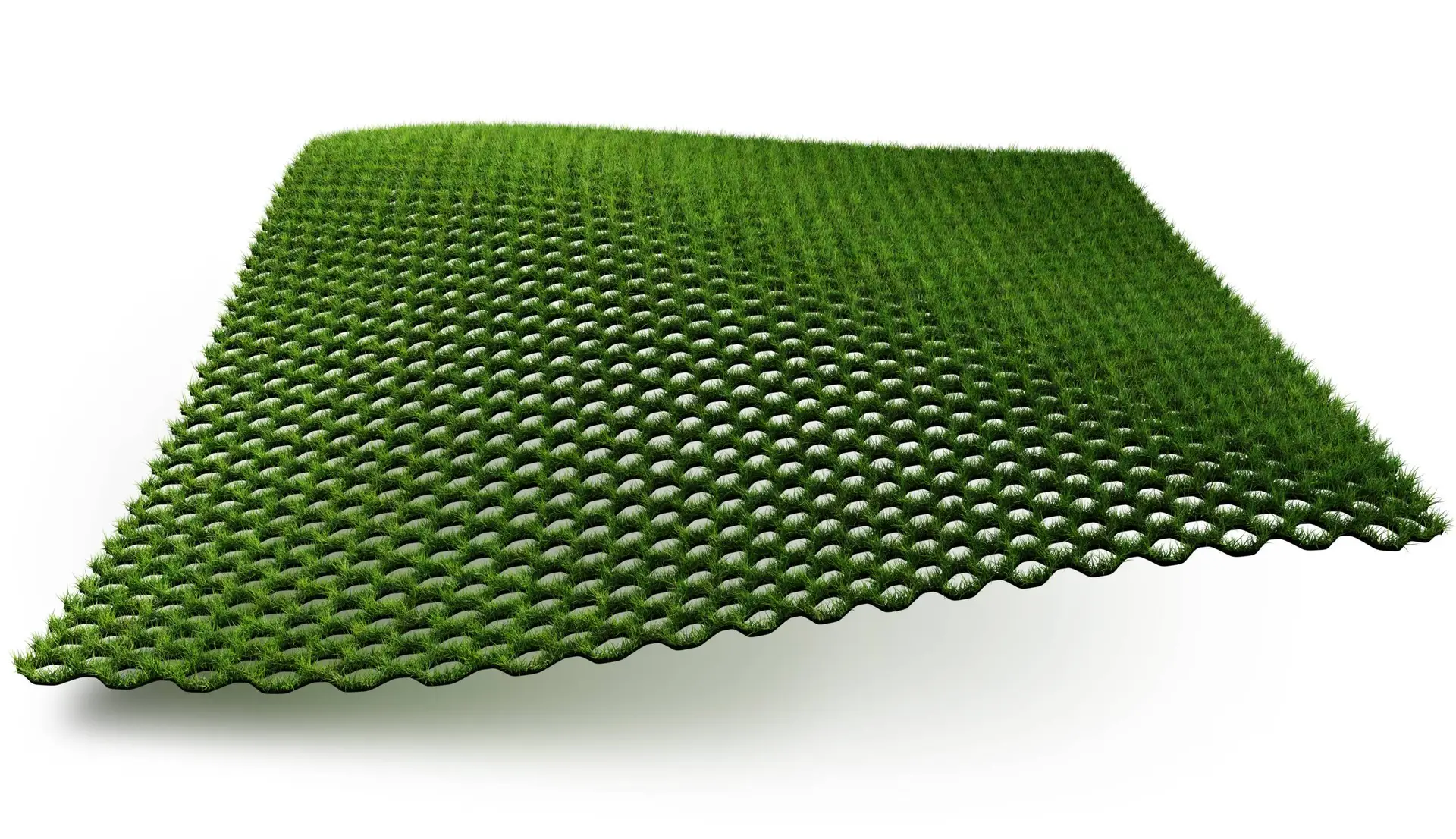 Hybridgräs 1x1 m - Bild 2
